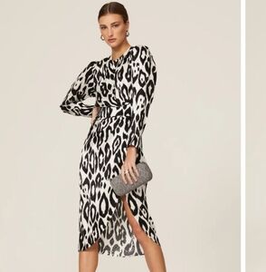 Ronny Kobo Zebra Jade Dress